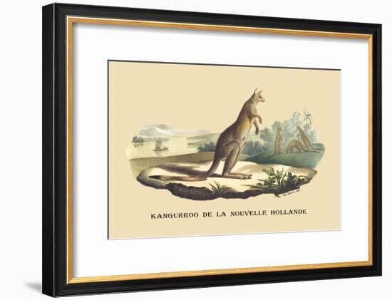 Kangouroo de la Nouvelle Hollande-E.f. Noel-Framed Art Print