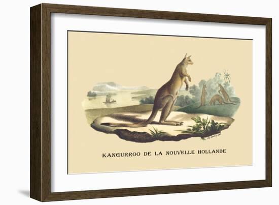 Kangouroo de la Nouvelle Hollande-E.f. Noel-Framed Art Print