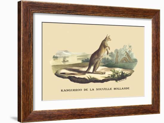 Kangouroo de la Nouvelle Hollande-E.f. Noel-Framed Art Print