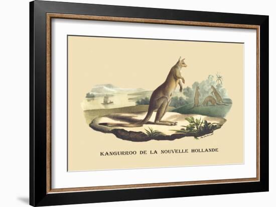 Kangouroo de la Nouvelle Hollande-E.f. Noel-Framed Art Print