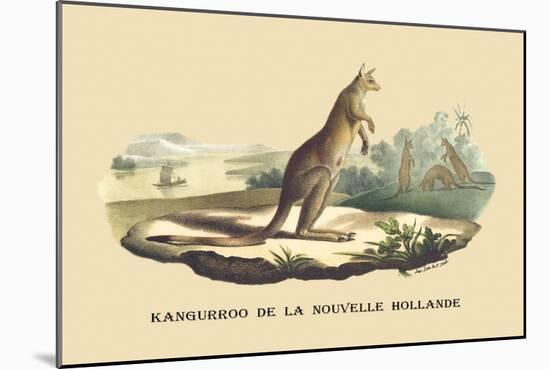 Kangouroo de la Nouvelle Hollande-E.f. Noel-Mounted Art Print