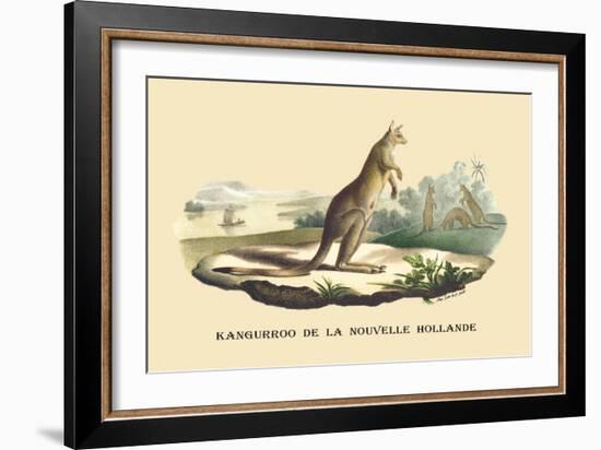 Kangouroo de la Nouvelle Hollande-E.f. Noel-Framed Premium Giclee Print