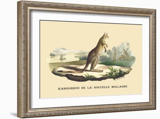 Kangouroo de la Nouvelle Hollande-E.f. Noel-Framed Art Print