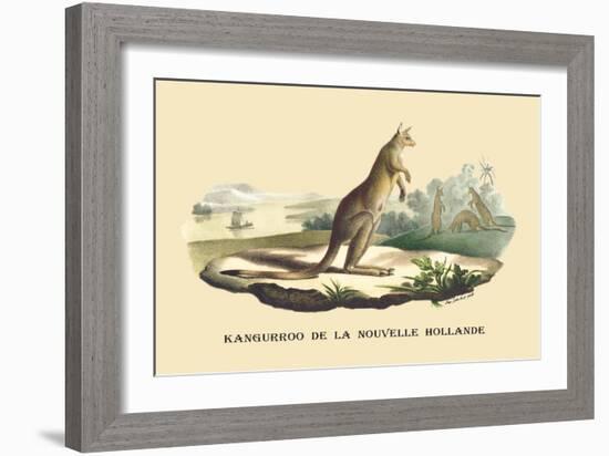 Kangouroo de la Nouvelle Hollande-E.f. Noel-Framed Art Print