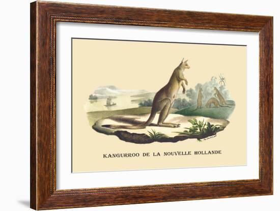 Kangouroo de la Nouvelle Hollande-E.f. Noel-Framed Art Print