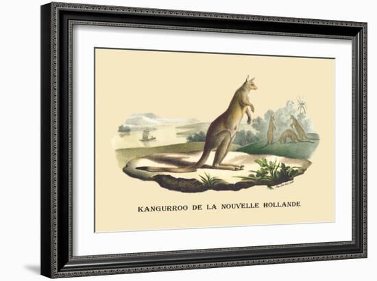 Kangouroo de la Nouvelle Hollande-E.f. Noel-Framed Art Print