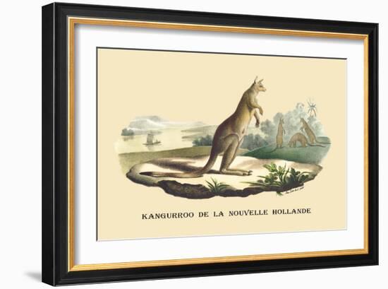 Kangouroo de la Nouvelle Hollande-E.f. Noel-Framed Art Print