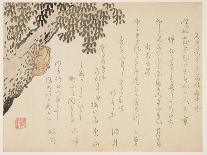 Shell of a Cicada, C.1848-53-Kangyoku-Premier Image Canvas