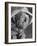 Kansas Farmer-Margaret Bourke-White-Framed Photographic Print