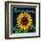 Kansas - Sunflower Brand Crate Label-Lantern Press-Framed Art Print