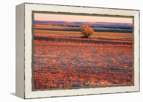 Kansas Sunset-photojohn830-Framed Premier Image Canvas