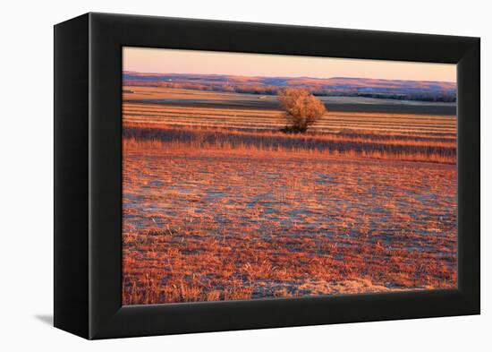 Kansas Sunset-photojohn830-Framed Premier Image Canvas