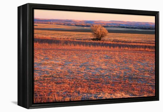 Kansas Sunset-photojohn830-Framed Premier Image Canvas