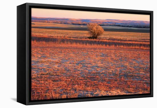 Kansas Sunset-photojohn830-Framed Premier Image Canvas