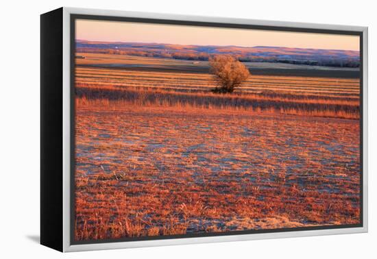 Kansas Sunset-photojohn830-Framed Premier Image Canvas