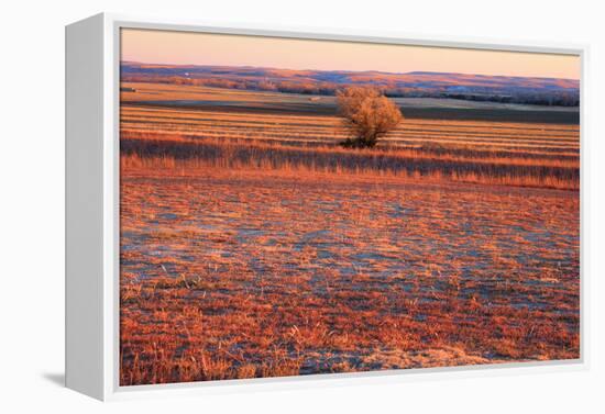 Kansas Sunset-photojohn830-Framed Premier Image Canvas