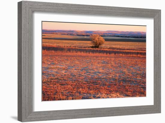 Kansas Sunset-photojohn830-Framed Photographic Print