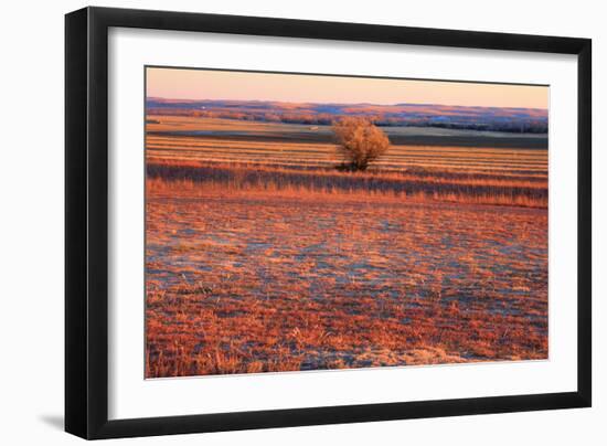 Kansas Sunset-photojohn830-Framed Photographic Print