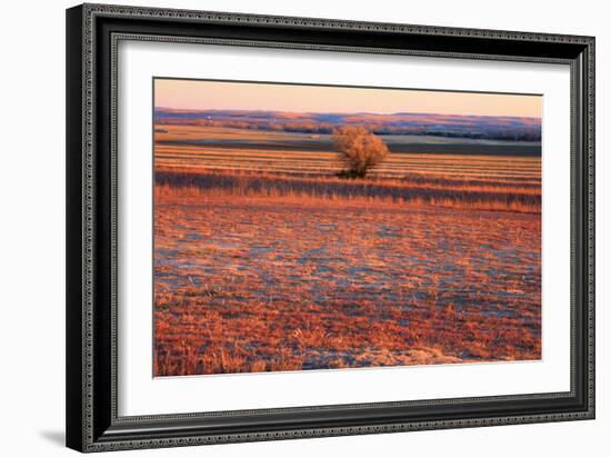 Kansas Sunset-photojohn830-Framed Photographic Print