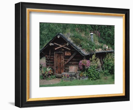 Kantishna Recorders Office, Denalia National Park, Alaska, USA-Dee Ann Pederson-Framed Photographic Print