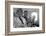 Kantrowitz Brothers (Adrian and Arthur) During Ventricle Heart Part Experiment, June 1966-Ralph Morse-Framed Photographic Print