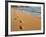 Kapa'a Beachfront, Kauai, Hawaii, USA-Savanah Stewart-Framed Photographic Print