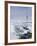 Kapitan Khlebnikov, Russian Icebreaker and Pack Ice, Weddell Sea, Antarctica, Polar Regions-Thorsten Milse-Framed Photographic Print