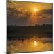 Premium Photographic Print