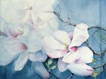Magnolia Dedudata-Karen Armitage-Giclee Print