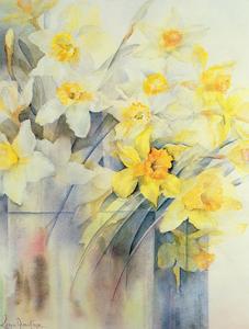 Daffodils Art Prints Paintings Posters Framed Wall Artwork