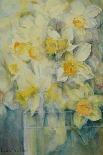 Spring Time, mixed daffodils in tank No 3., Mrs Krelage, Ice Follies and Fortune-Karen Armitage-Giclee Print
