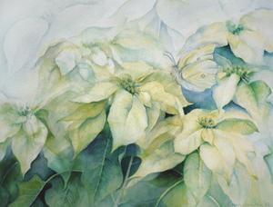 Poinsettias Art Prints Paintings Posters Framed Wall Artwork
