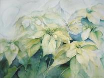 Daisies, Shasta-Karen Armitage-Giclee Print