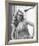 Karen Black, Five Easy Pieces (1970)-null-Framed Photo