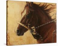 Christmas Mystery-Karen Bonnie-Stretched Canvas