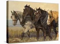 Twin Mountain Triplets-Karen Bonnie-Stretched Canvas