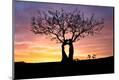 Premium Photographic Print