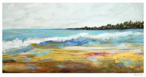 Beach Surf II by Karen  Fields