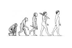 Evolution of Man-Karen Humpage-Giclee Print