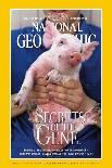 Cover of the October, 1999 National Geographic Magazine-Karen Kasmauski-Photographic Print