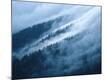 Premium Photographic Print