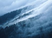 Fog in the Smokey Mountains-Karen Kasmauski-Photographic Print