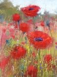 In the Poppy Field-Karen Margulis-Framed Art Print