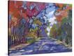 Stretched Canvas Print