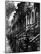 Premium Photographic Print