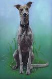 Rottweiler Solo-Karie-Ann Cooper-Giclee Print