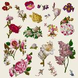 Vintage Victorian Flowers Clip Art-Karimala-Art Print