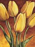 Tulpen-Karin Becker-Art Print