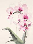 Morning Orchid 1-Karin Johannesson-Art Print