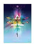Cosmic Dragonfly-Karin Roberts-Art Print
